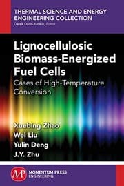 Tapa de Lignocellulosic Biomass-Energized Fuel Cells