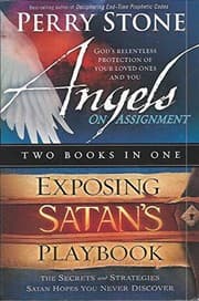 Tapa de Angels on Assignment Exposing Stan's Playbook 2 in 1 paperback