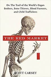 Tapa de The Red Market