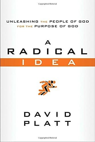 Tapa de A Radical Idea