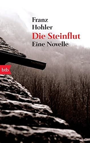 Tapa de Die Steinflut