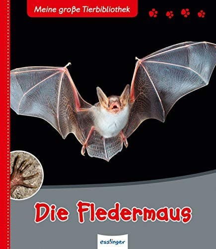 Tapa de Die Fledermaus