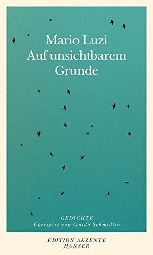 Tapa de Auf unsichtbarem Grunde