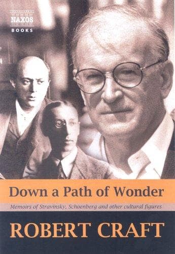 Tapa de Down a Path of Wonder