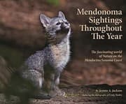 Tapa de Mendonoma Sightings Throughout the Year