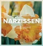 Tapa de Narzissen