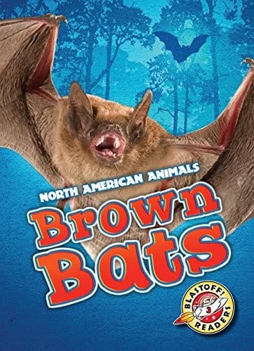 Tapa de Brown Bats