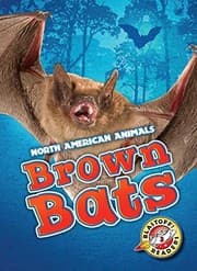 Tapa de Brown Bats