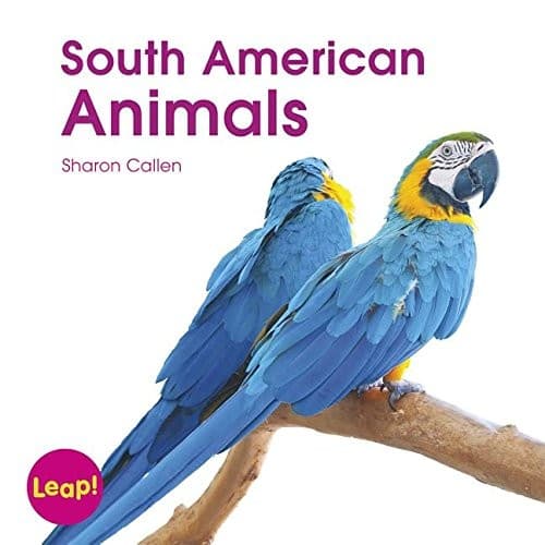 Tapa de South American Animals