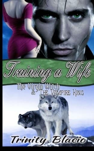 Tapa de Training a Wife