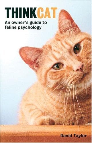 Tapa de Think Cat