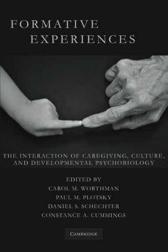 Tapa de Formative Experiences