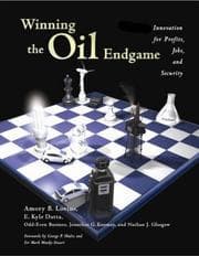 Tapa de Winning the oil endgame