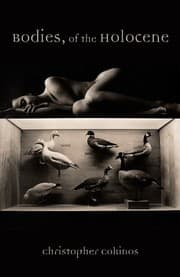 Tapa de Bodies, of the Holocene