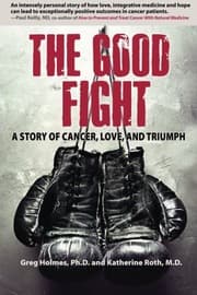 Tapa de The Good Fight