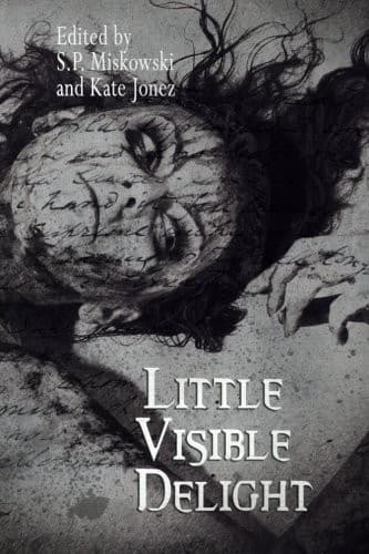 Tapa de Little Visible Delight