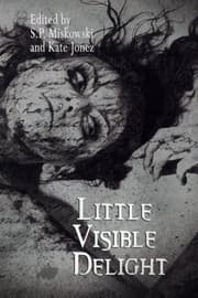 Tapa de Little Visible Delight