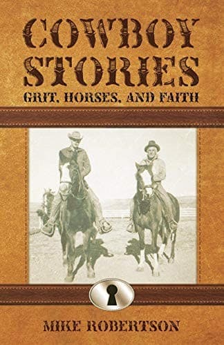 Tapa de Cowboy Stories