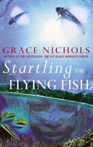 Tapa de Startling the Flying Fish