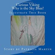Tapa de The Curious Viking