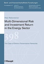 Tapa de Multi-Dimensional Risk and Investment Return in the Energy Sector