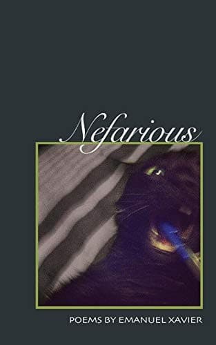 Tapa de Nefarious