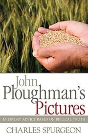 Tapa de John Ploughman's Pictures