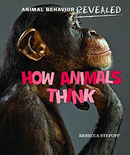 Tapa de How Animals Think