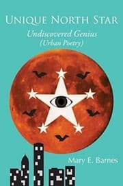 Tapa de Unique North Star