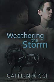 Tapa de Weathering the Storm