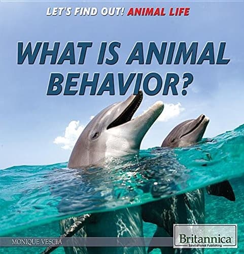 Tapa de What Is Animal Behavior?