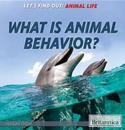Tapa de What Is Animal Behavior?