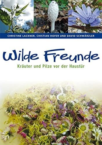 Tapa de Wilde Freunde