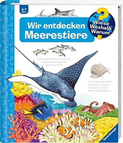 Tapa de Wir entdecken Meerestiere