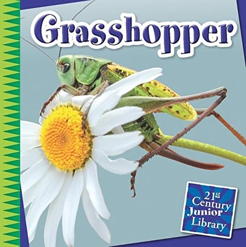 Tapa de Grasshopper