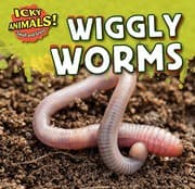 Tapa de Wiggly Worms