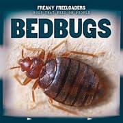 Tapa de Bedbugs