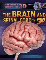 Tapa de The Brain and Spinal Cord in 3D
