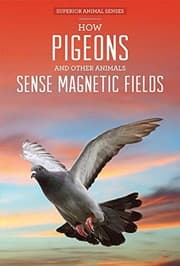 Tapa de How Pigeons and Other Animals Sense Magnetic Fields