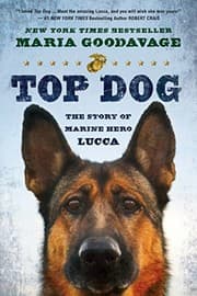Tapa de Top Dog