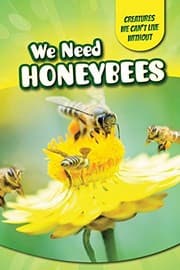 Tapa de We Need Honeybees