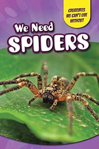 Tapa de We Need Spiders