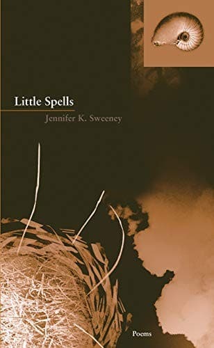 Tapa de Little Spells