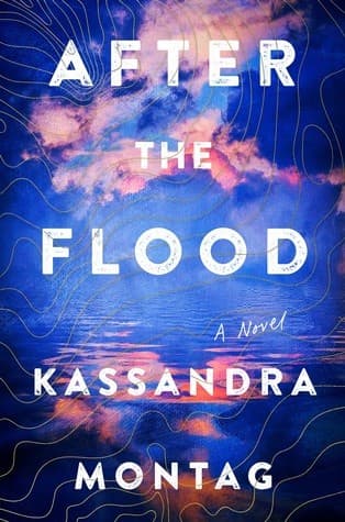 Tapa de After the Flood