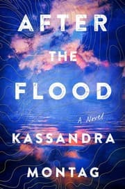 Tapa de After the Flood