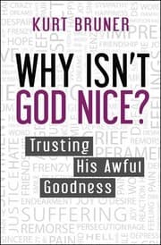 Tapa de Why Isn't God Nice?
