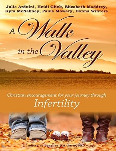 Tapa de A Walk in the Valley