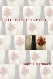 Tapa de The Wild Rabbit