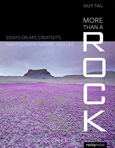 Tapa de More Than a Rock