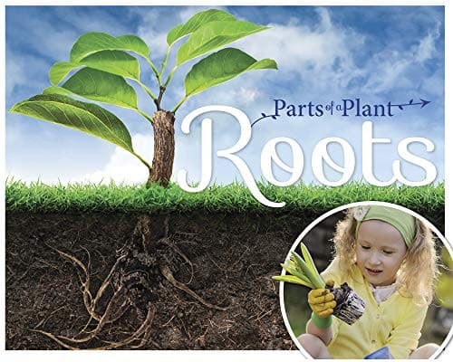 Tapa de Roots